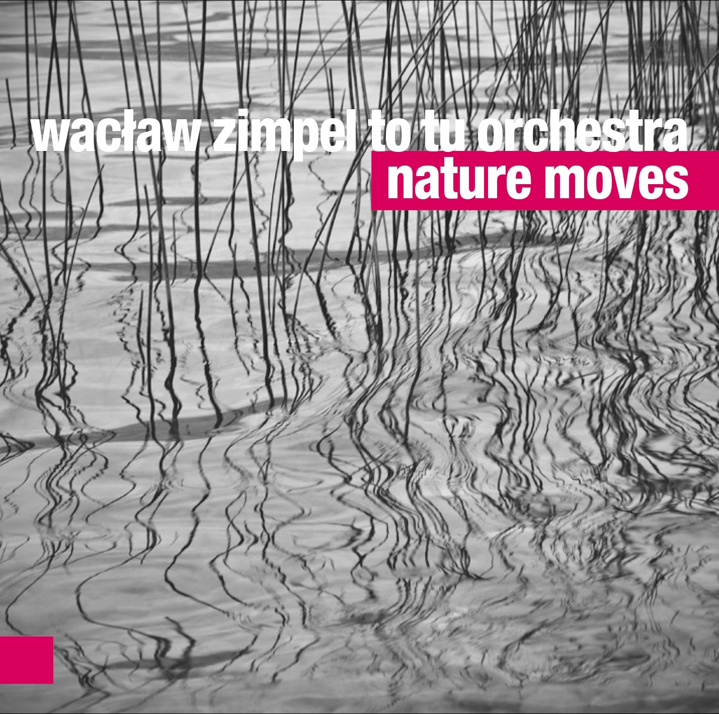 Wacław Zimpel To Tu Orchestra Nature Moves