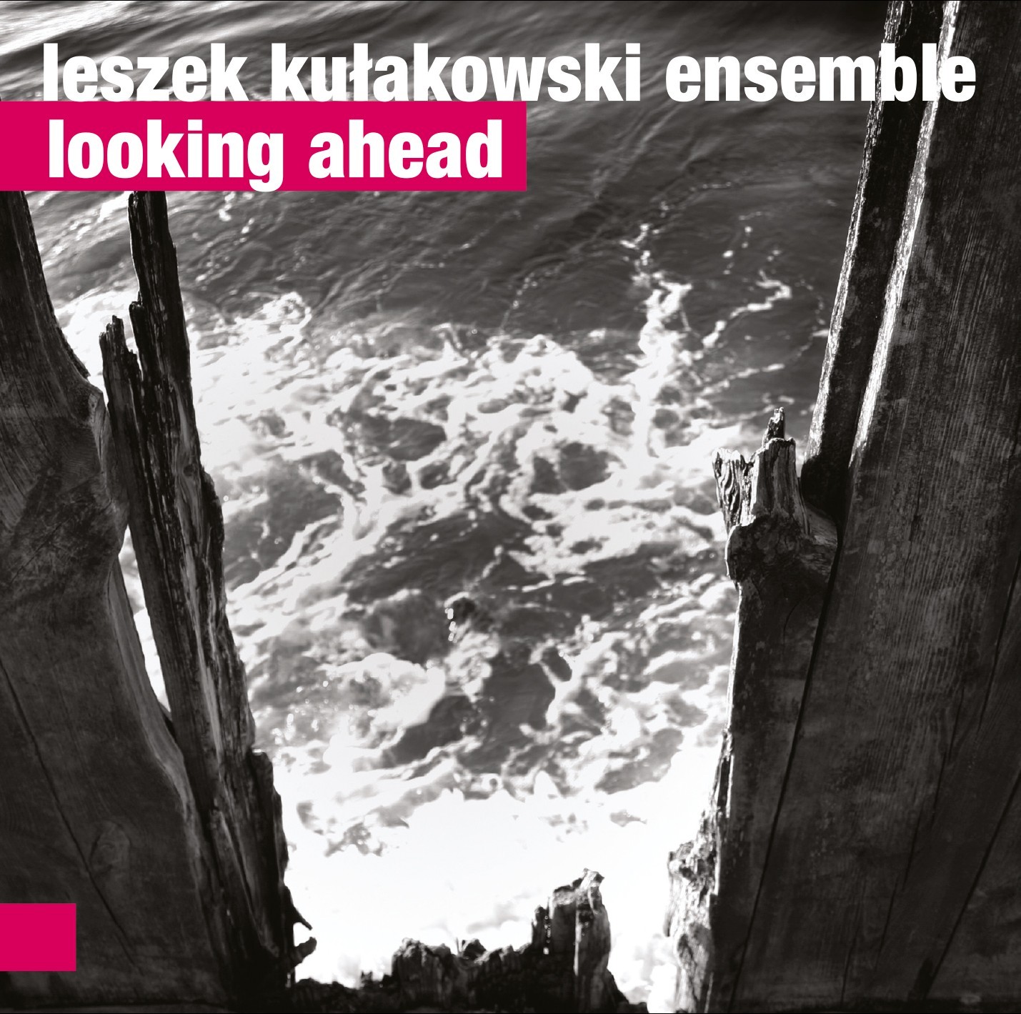 Leszek Kułakowski Enemble Looking Ahead