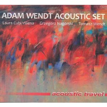 Acoustic travel Adam Wendt Acoustic Set