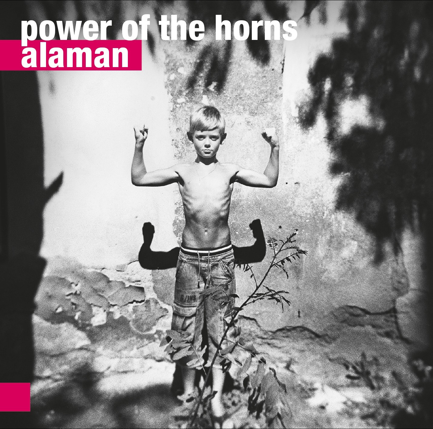Power Of The Horns Alaman